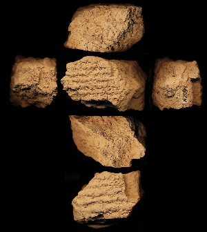N2094