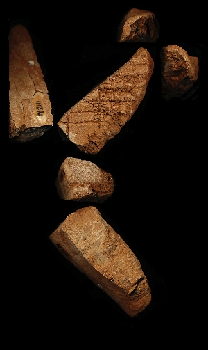 N2111