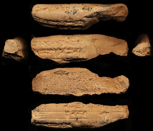 N2117