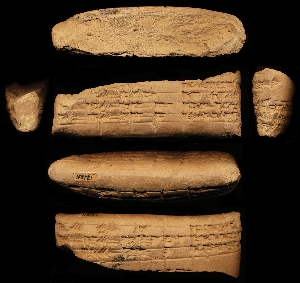 N2121