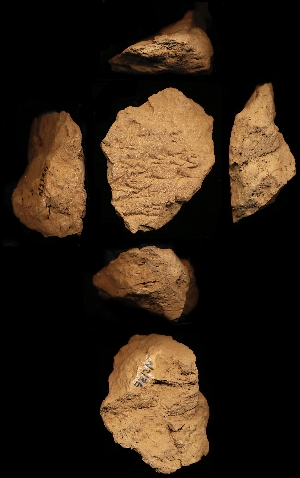 N2126
