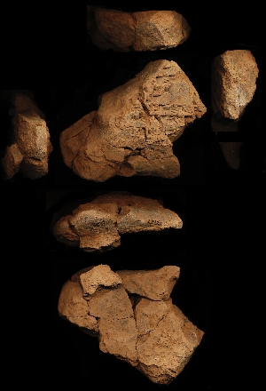 N2127