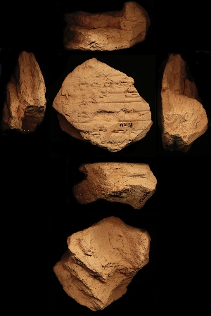 N2131