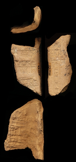 N2133