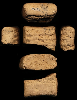 N2135