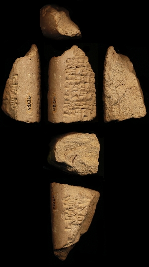 N2136