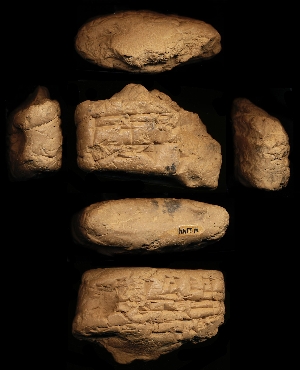 N2144