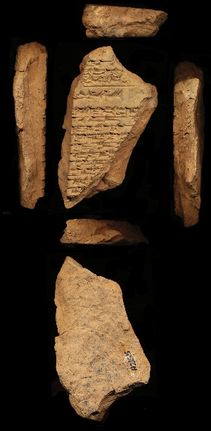 N2155