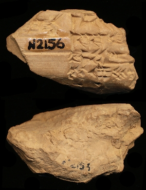 N2156