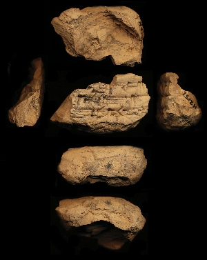 N2157