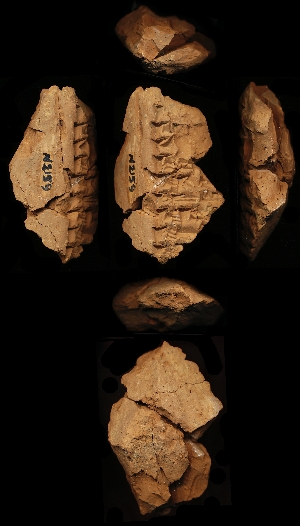 N2159