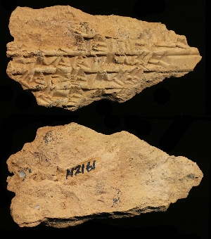 N2161