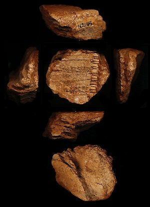 N2165