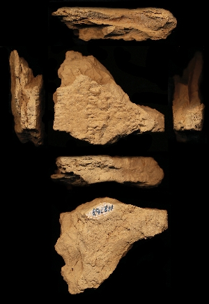 N2167