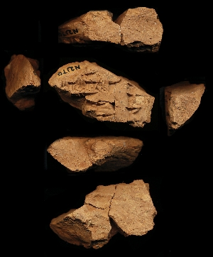 N2170