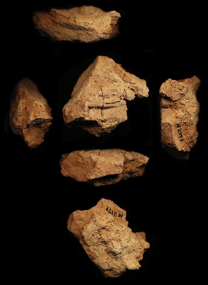 N2171