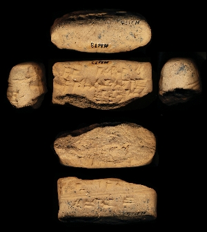 N2173