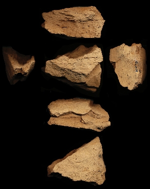 N2175
