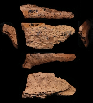 N2181