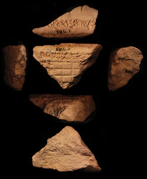 N2183