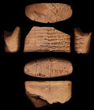 N2184