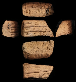 N2185
