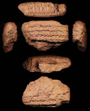N2187
