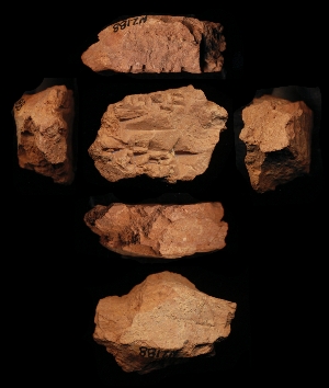 N2188