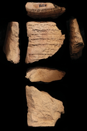 N2191