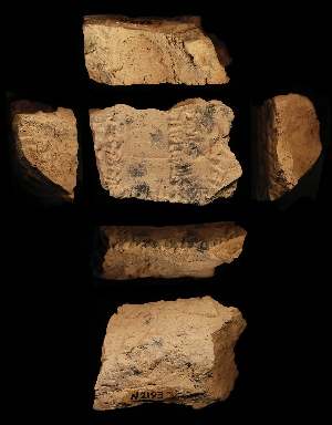 N2193