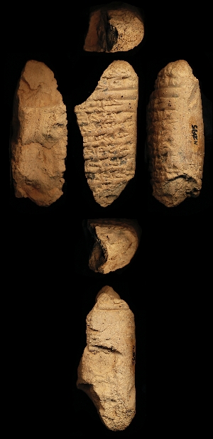 N2195