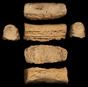 N2196