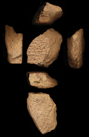 N2197