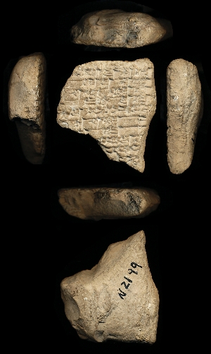 N2199
