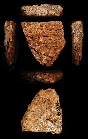 N2224