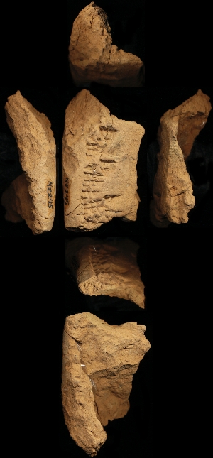 N2245