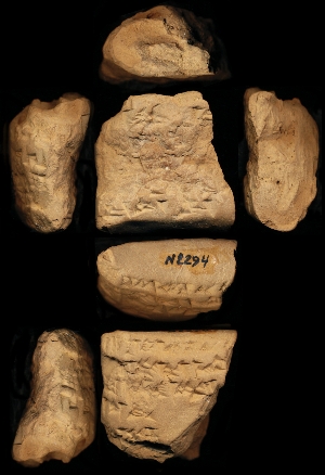 N2294
