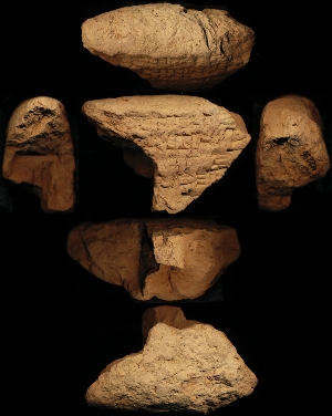 N2296