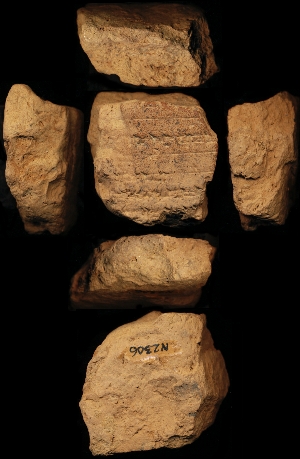 N2306
