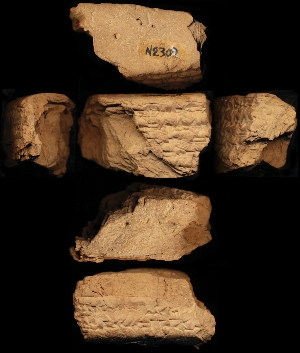 N2309