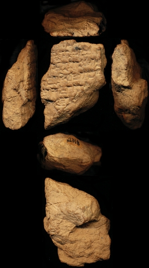 N2318