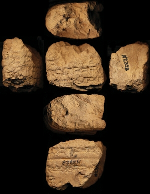 N2328