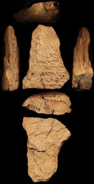 N2333