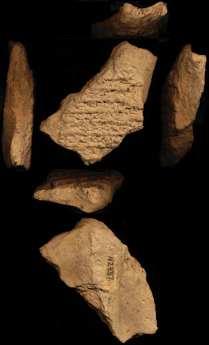 N2337