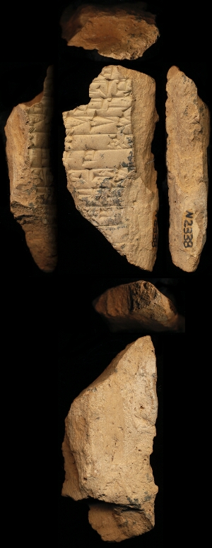 N2338