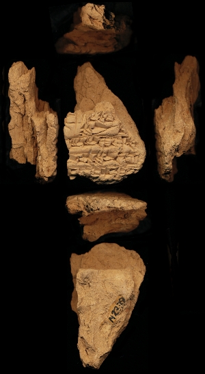 N2339