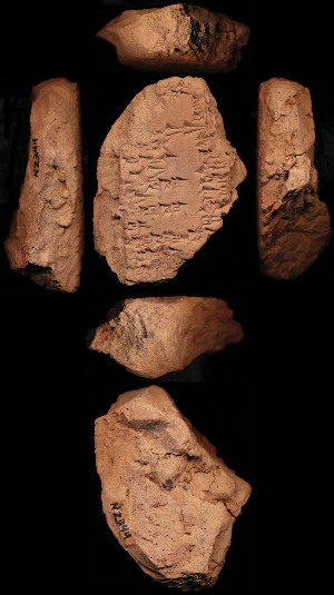 N2344