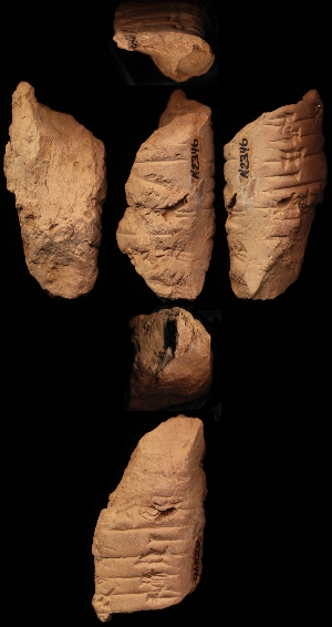 N2346
