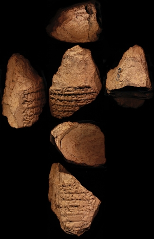 N2355