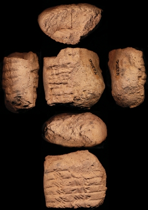 N2356